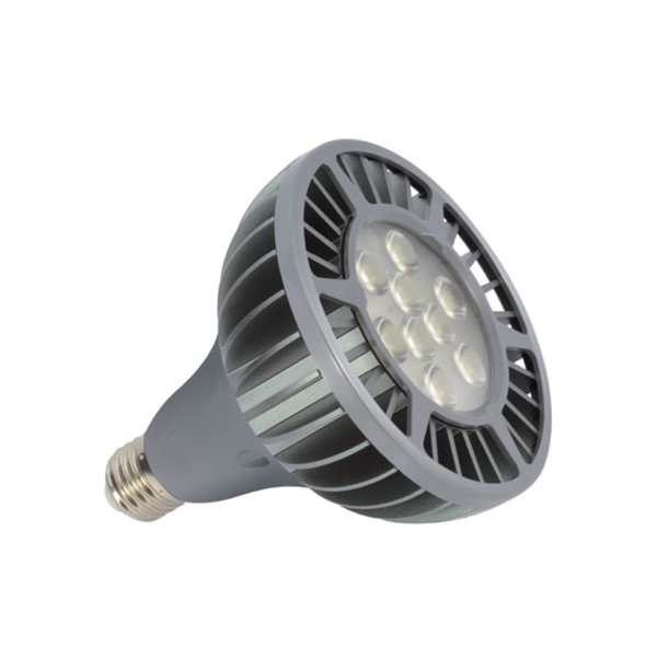 Lampe LED PAR38